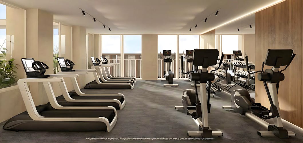 imagenes proyecto