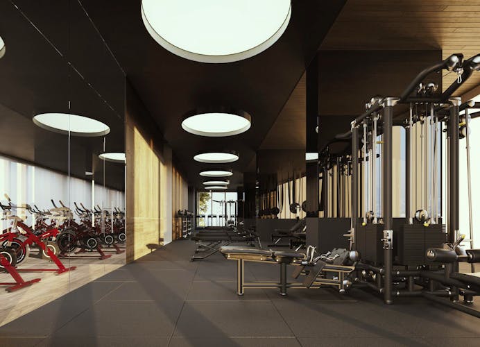 imagenes proyecto