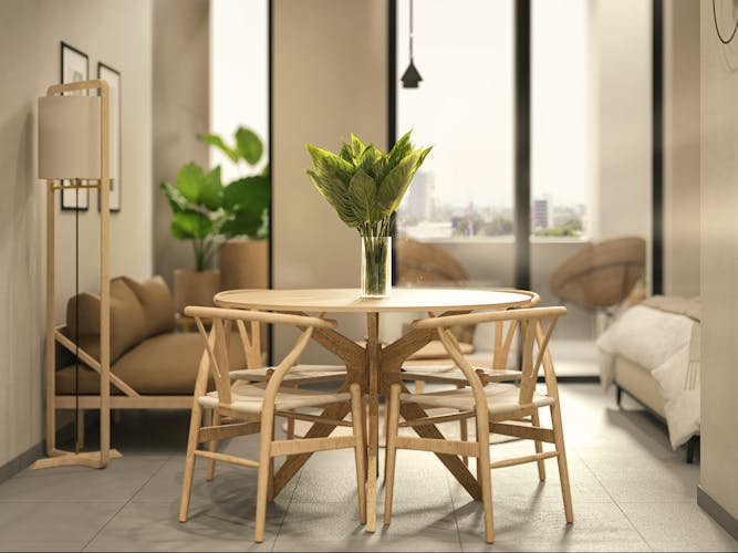 imagenes proyecto