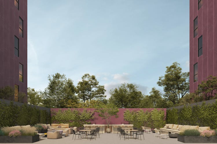 imagenes proyecto