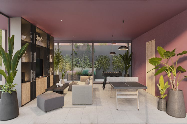 imagenes proyecto