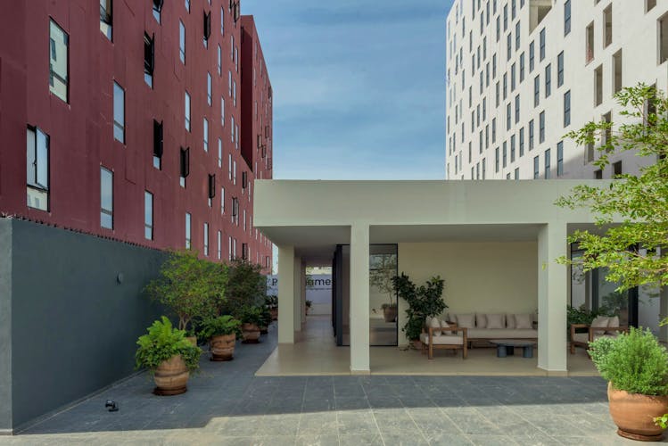 imagenes proyecto