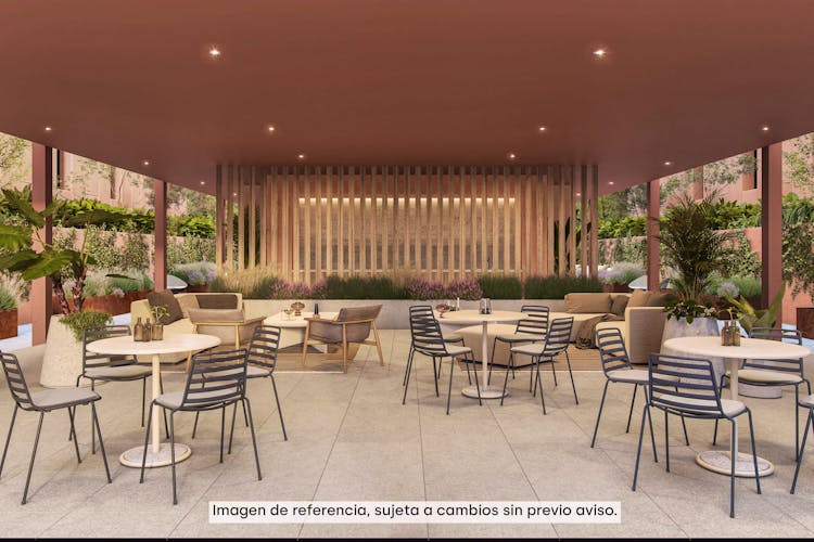 imagenes proyecto