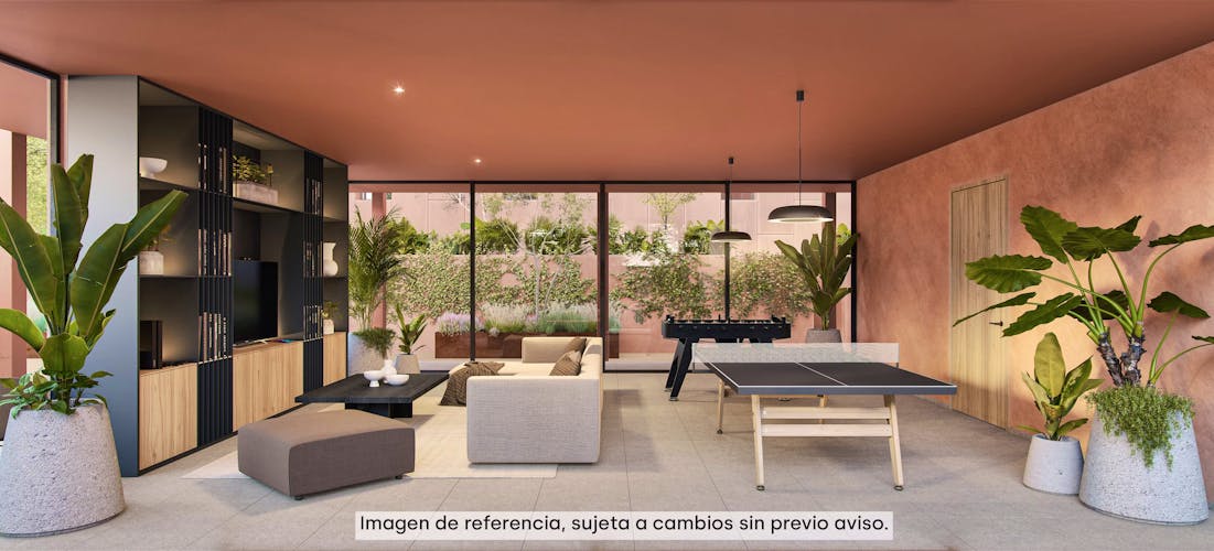 imagenes proyecto