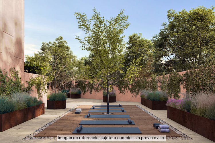 imagenes proyecto