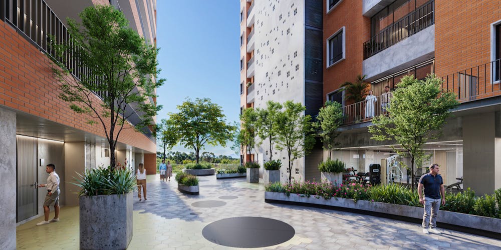 imagenes proyecto
