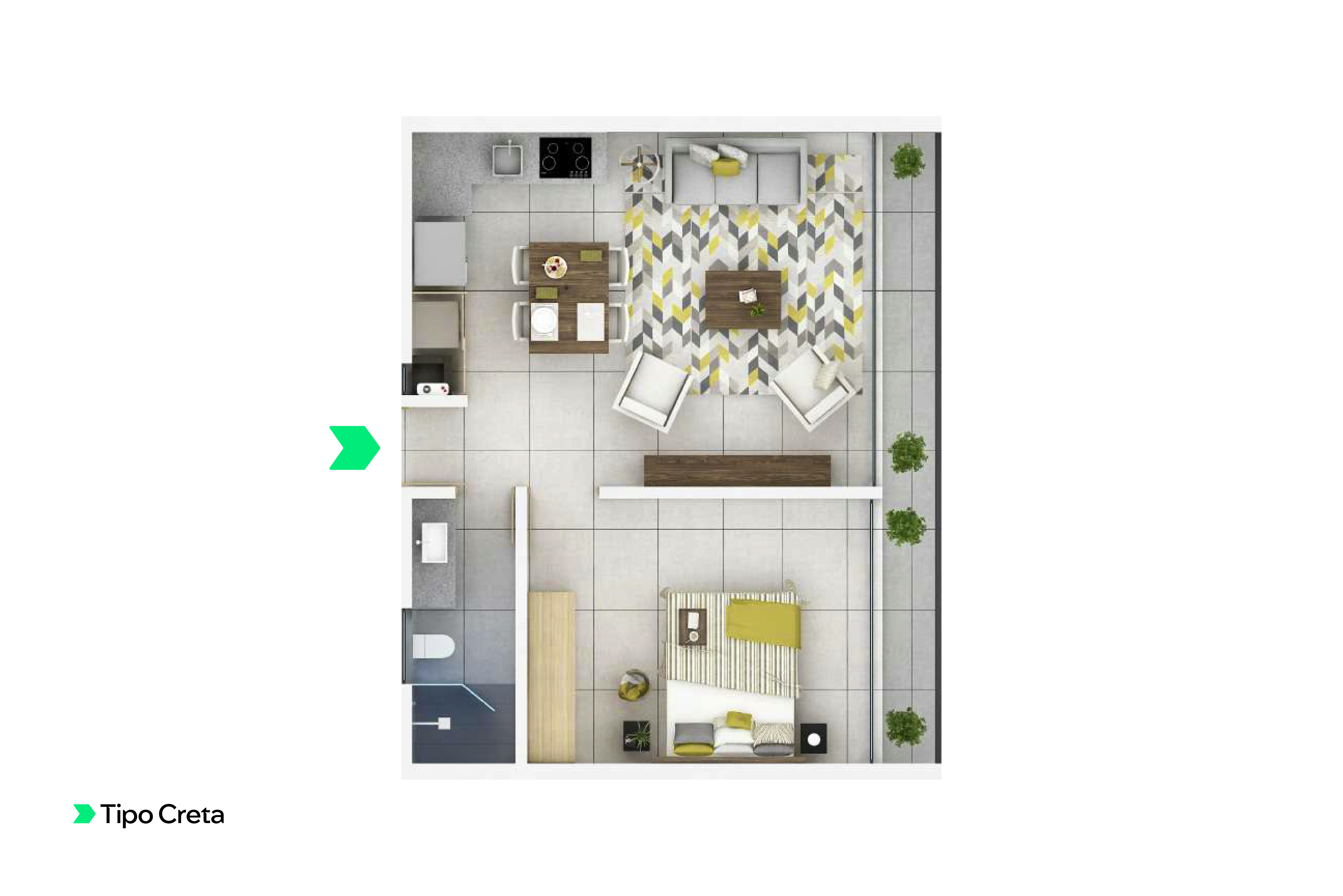imagenes proyecto