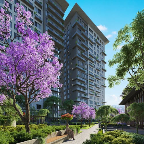 imagenes proyecto