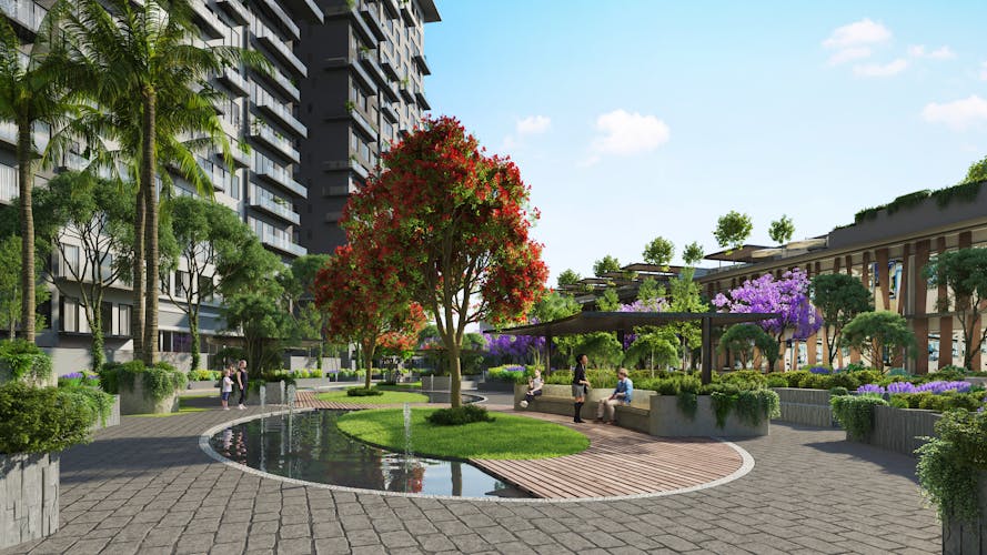 imagenes proyecto