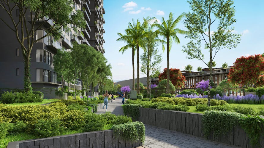 imagenes proyecto