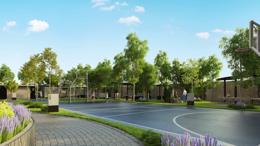 imagenes proyecto