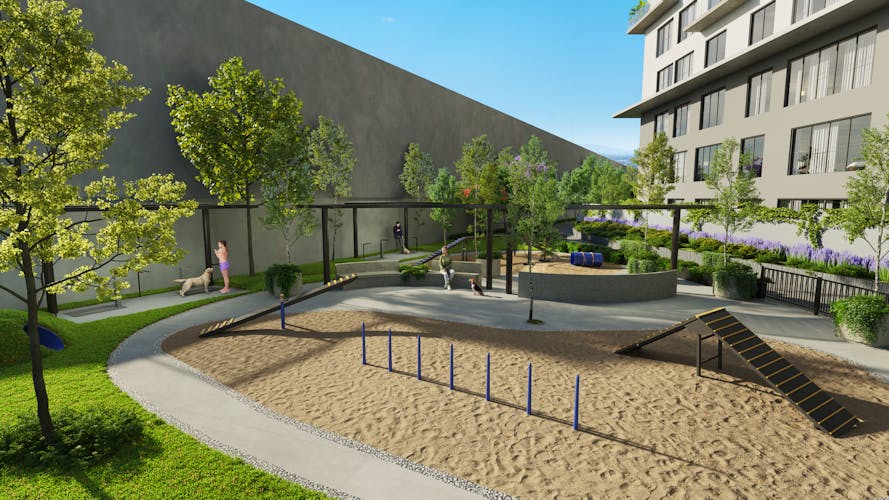 imagenes proyecto
