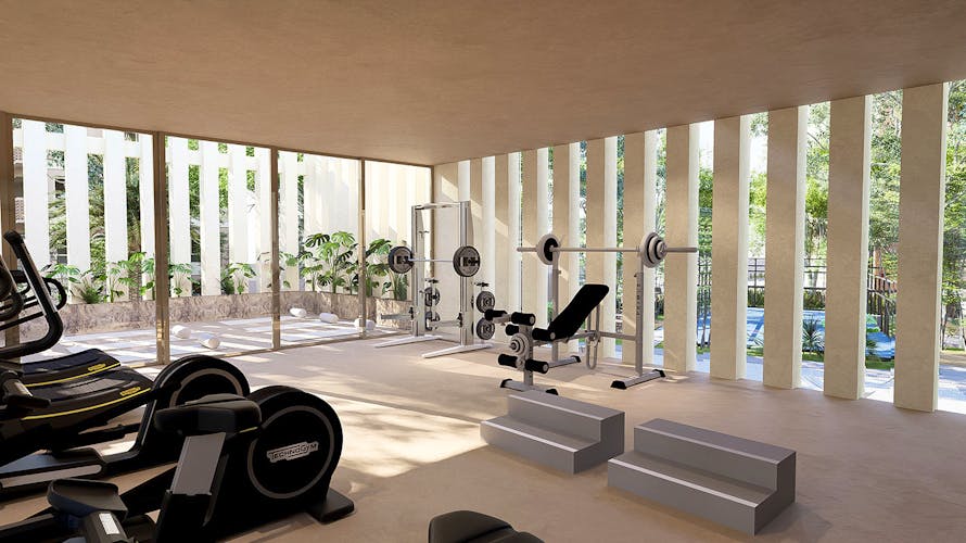 imagenes proyecto