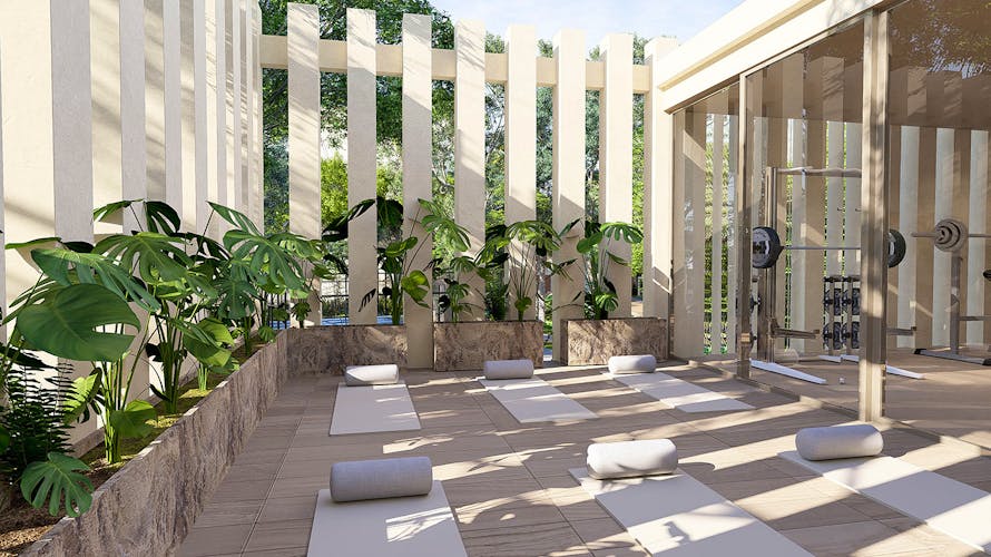 imagenes proyecto