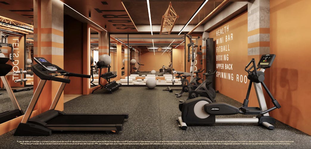 imagenes proyecto