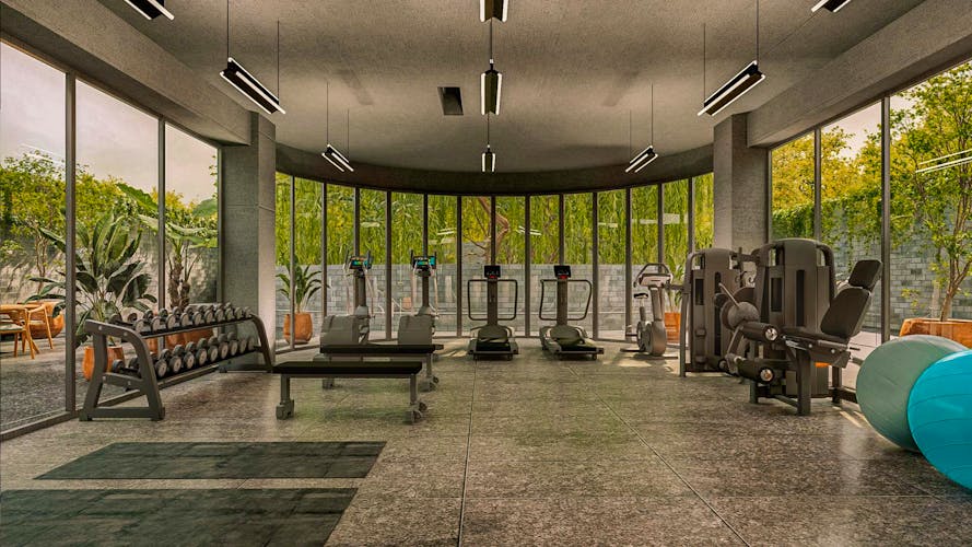 imagenes proyecto