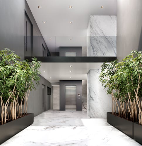 imagenes proyecto