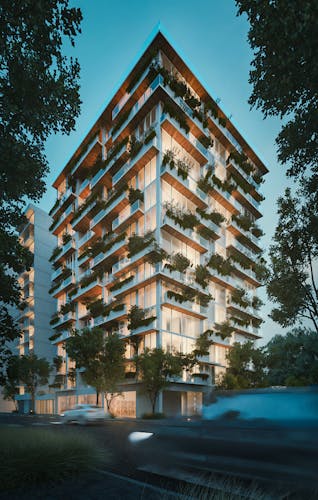 imagenes proyecto