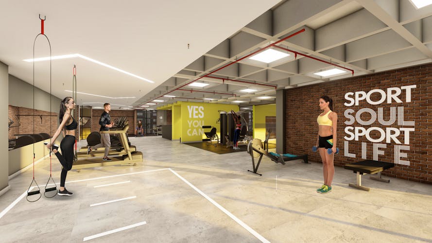imagenes proyecto