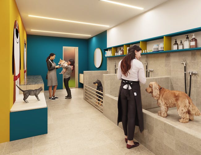imagenes proyecto