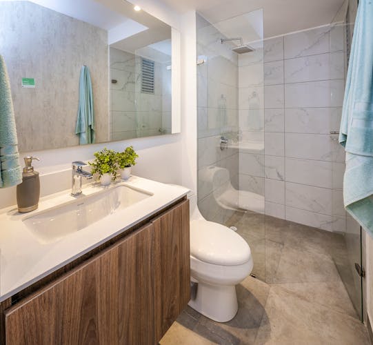 imagenes proyecto
