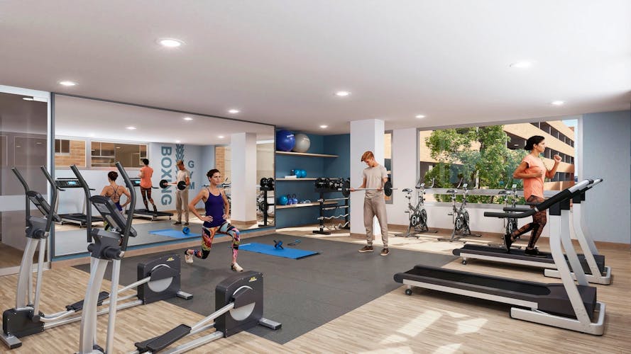 imagenes proyecto