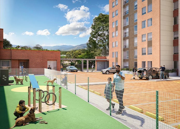 imagenes proyecto