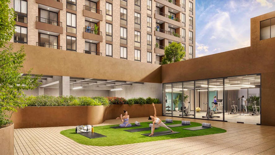 imagenes proyecto