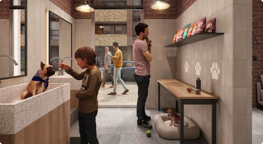 imagenes proyecto