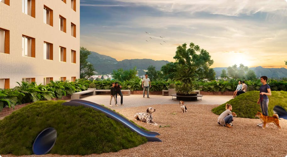 imagenes proyecto