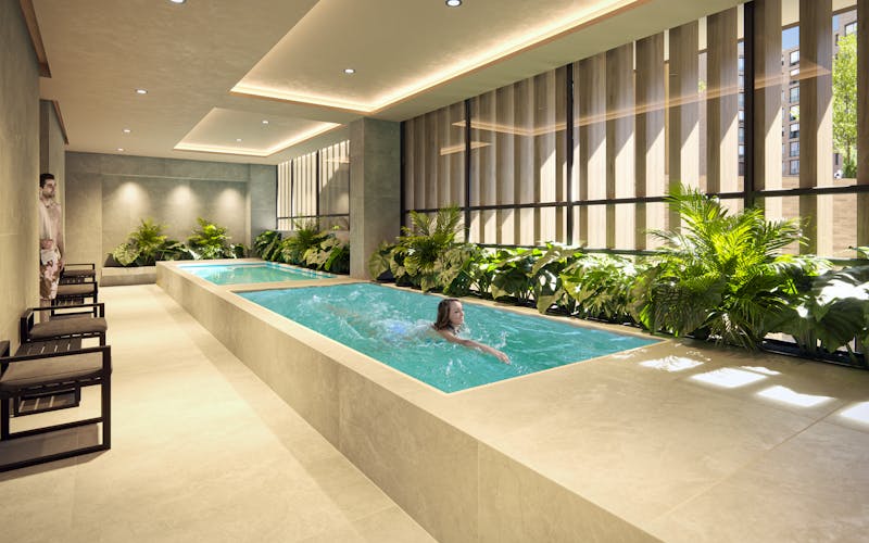 imagenes proyecto