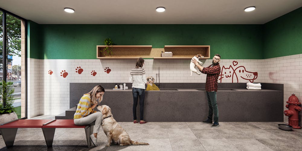 imagenes proyecto