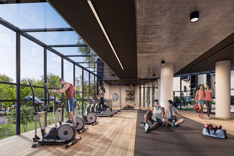 imagenes proyecto