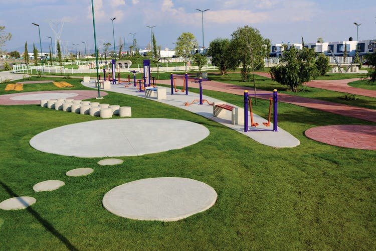 imagenes proyecto