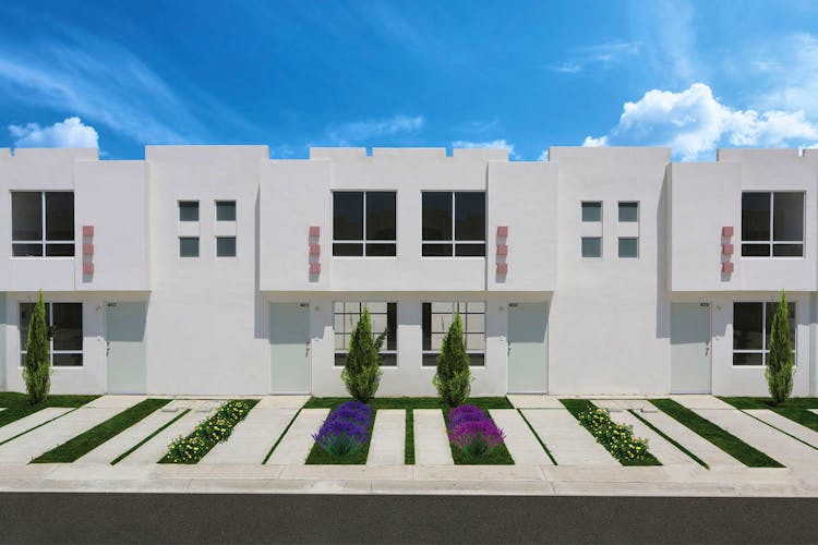 imagenes proyecto