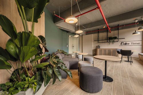 Portada de Amantina Torre 3