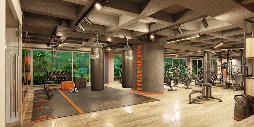 imagenes proyecto