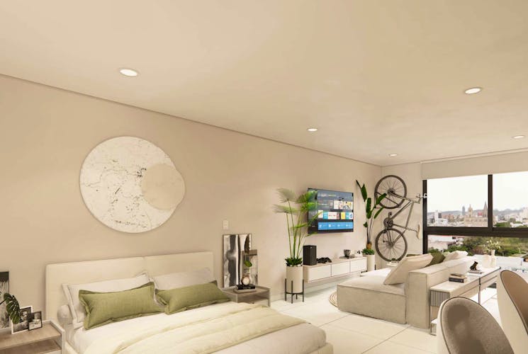 imagenes proyecto