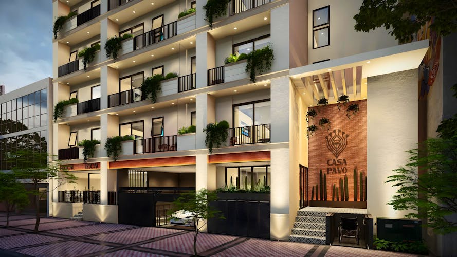 imagenes proyecto