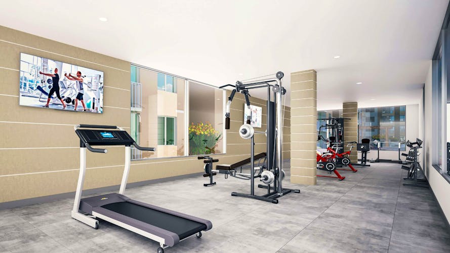 imagenes proyecto
