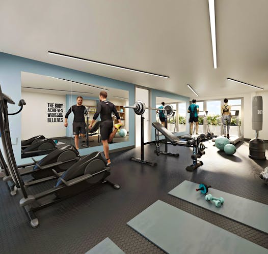 imagenes proyecto
