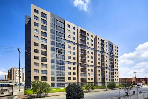 Portada de Ciprés de la Florida