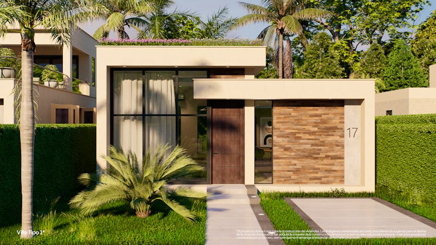 imagenes proyecto