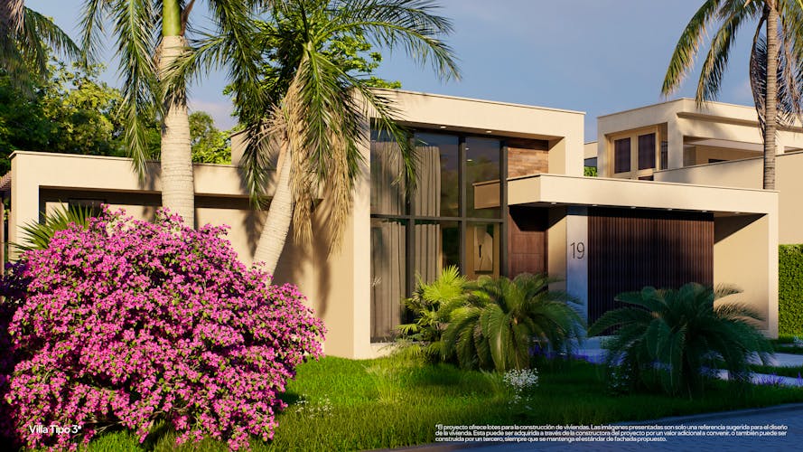 imagenes proyecto