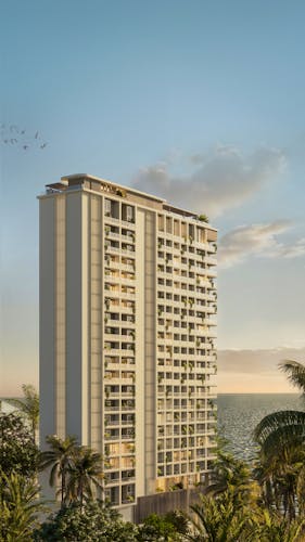 imagenes proyecto