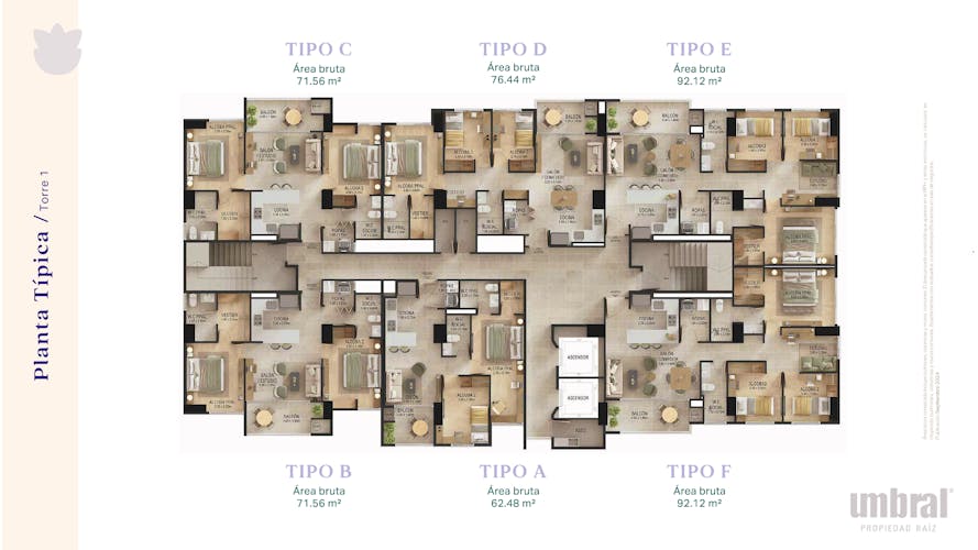 imagenes proyecto
