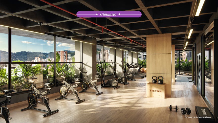 imagenes proyecto