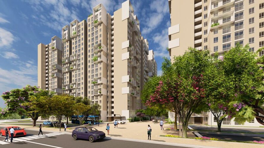 imagenes proyecto