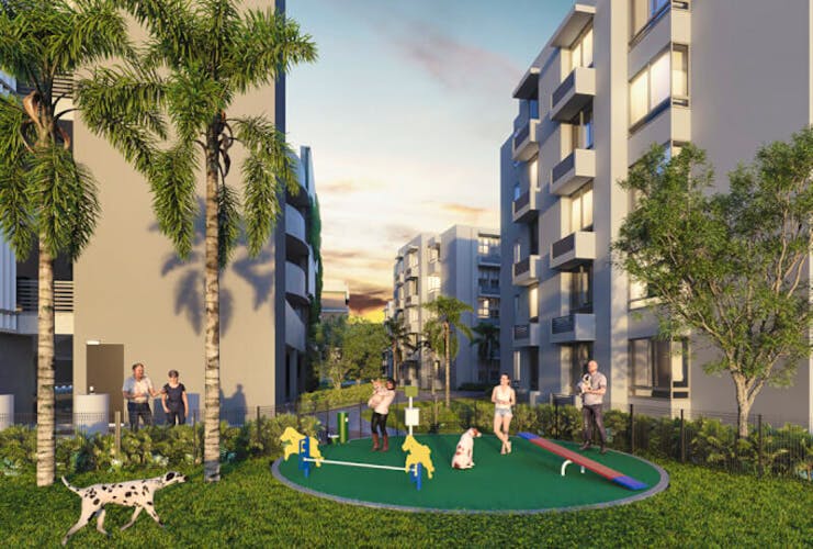 imagenes proyecto