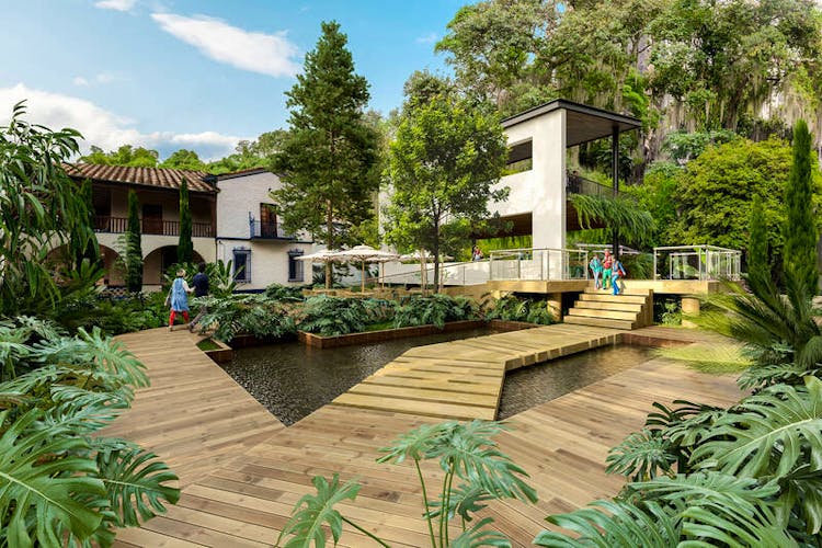 imagenes proyecto